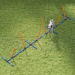 Adjustable Dog Agility Course Set with Carry Bag - Image 2