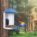 1080P HD Bird Feeder Camera with Night Vision & AI Bird ID - Image 7