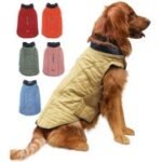 Insulated Dog Winter Coat - Multiple Colors & Sizes - Image 2