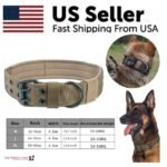 Tactical Dog Collar with Neoprene Lining - M & XL Sizes