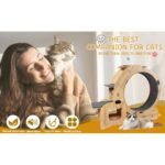 6-in-1 Indoor Cat Exercise Wheel with Natural Wood Finish - Image 4