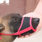Labrador Dog Mouth Cover to Prevent Overeating