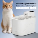 2000ML Intelligent Sensor Pet Water Fountain with USB Charging