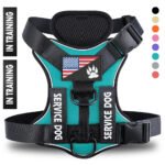 Adjustable Reflective Dog Harness with Quick Release - Multiple Colors & Sizes - Image 3